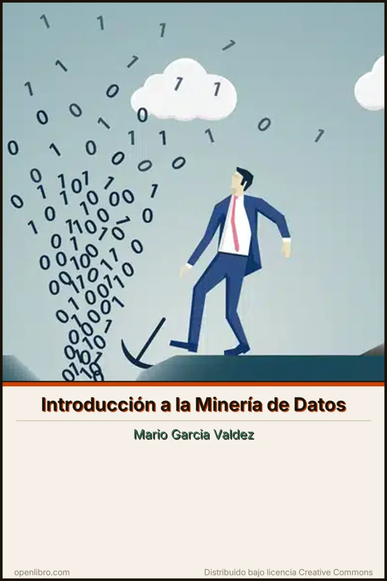 Portada del libro Introducción a la Minería de Datos